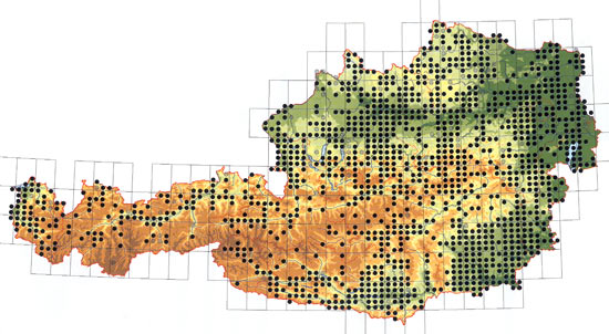 Verbreitungkarte: Erdkröte - Bufo bufo (Datenstand 1996) © Umweltbundesamt - Quelle: Verbreitungsatlas Österreich